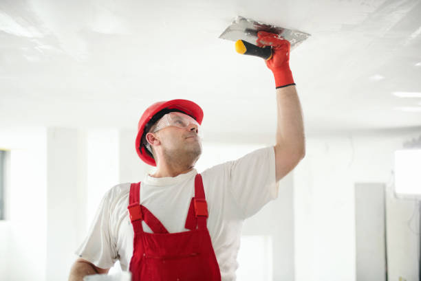 Best Drywall Sanding and Smoothing  in Sergeant Bluff, IA